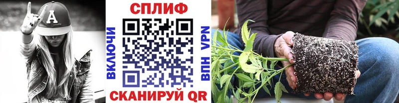 Наркота Магас Амфетамин  Мефедрон  Каннабис  МЕГА маркетплейс  СК 