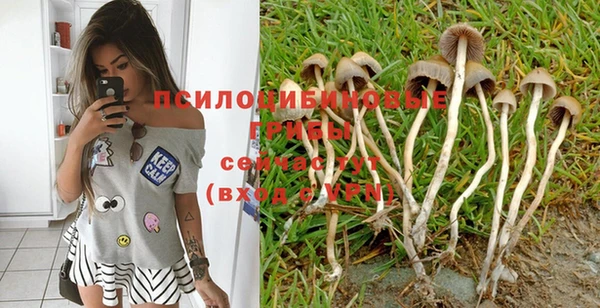 винт Балабаново